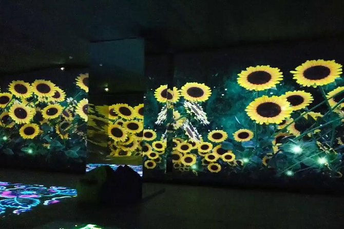 Museum of illusions,Digital Space and Ethnography in Tbilisi - How the 6-hour combo tour plays out day-to-day