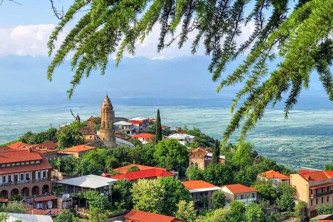 One Day Kakheti Tour with Wine Tasting and Free Churchkhela - Getting There From Meidan Bazar: Timing and Group Logistics That Matter