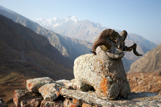 Private day trip to the Caucasus mountains and the Russian border - Stop 2: Gudauri ski resort stop and cross-gorge possibilities