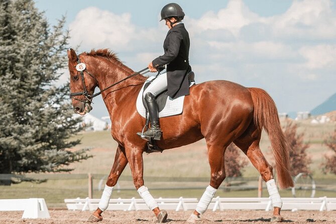 Private Horse Ridding tour - Key things that make this private ride work