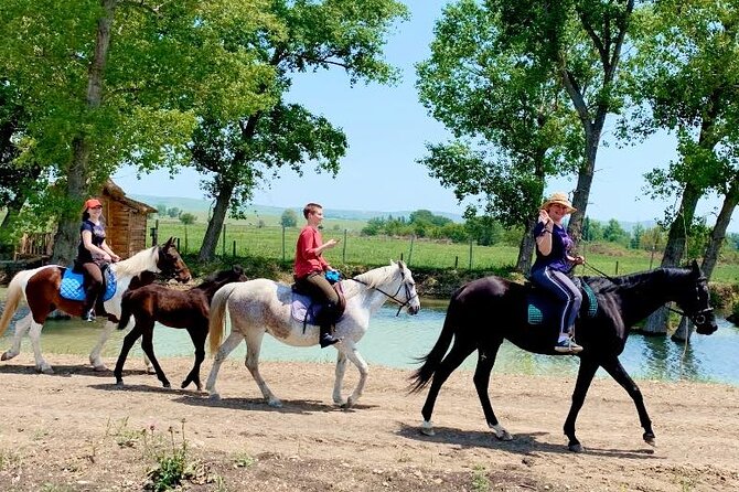 Private Horse Ridding tour - Where this ride fits in your Tbilisi day