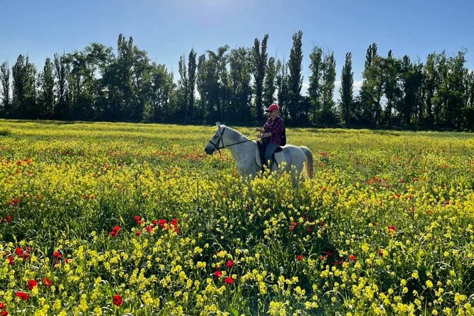 Private Horse Ridding tour - Stop by stop: what actually happens during the ride