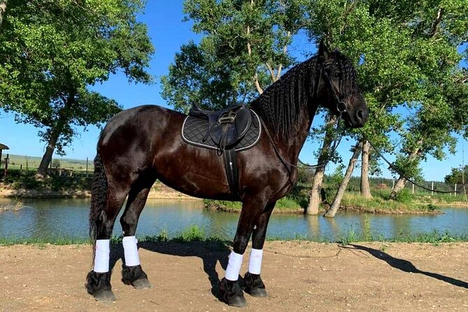 Private Horse Ridding tour - Meeting point: Kakheti Highway, then a quick hop to Lilo Mall