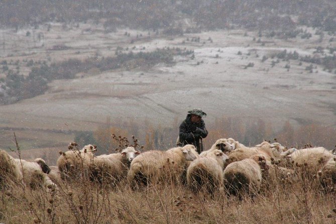Private Tour to Kazbegi from Tbilisi - Key highlights you’ll actually care about