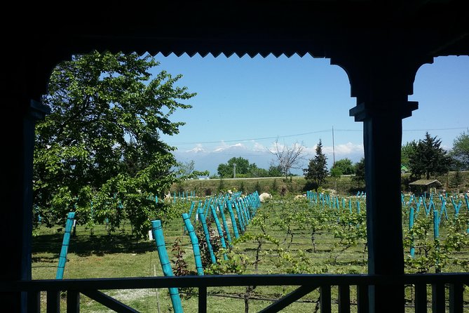 Private Wine Tour to Kakheti from Tbilisi - Gombori Pass Timing and Views: The Drive Is Part of the Show