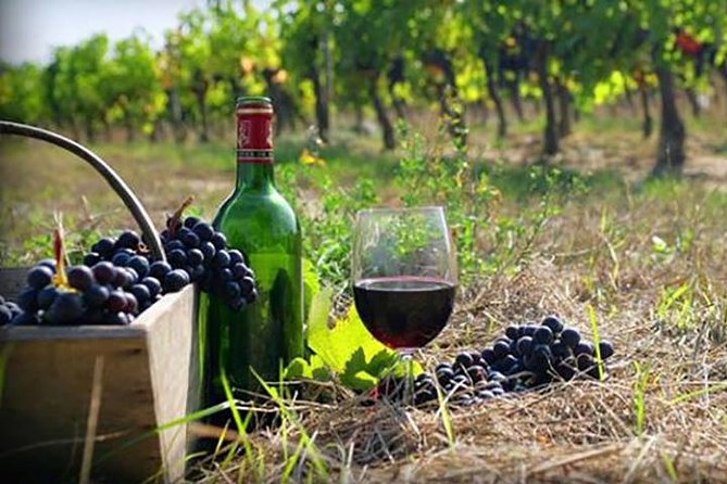Private Wine Tour to Kakheti from Tbilisi - Tsinandali Palace: Where Georgian Wine Meets the Chavchavadze Story