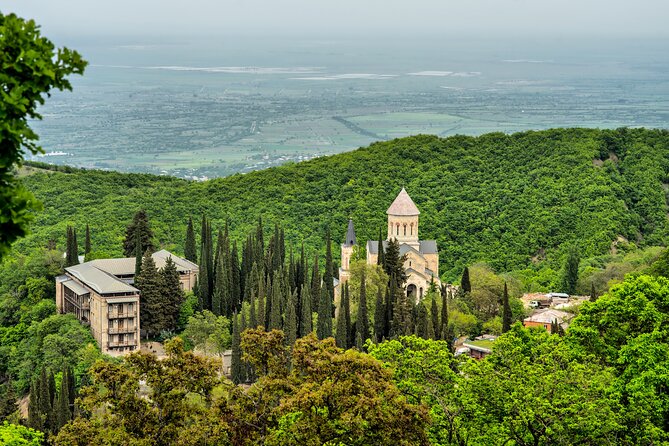 Taste of Kakheti: Wine Tour Bread Baking & Churchkhela Workshop - Group size, English support, and what can affect your day