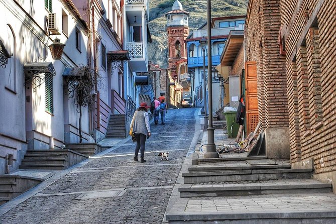 Tbilisi Private Arrival Airport Transfer - Should You Book This Arrival Transfer in Tbilisi?