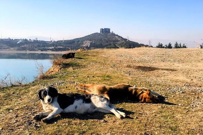 Tbilisi: Sabaduri Forest, Georgian Stonehenge & Bear Sanctuary - The Two-River Panorama Above Mtskheta
