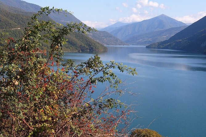 Tbilisi to Kazbegi, Gudauri, and Ananuri Day Tour - Driving Comfort and Safety on Mountain Roads