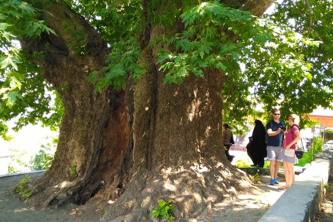 Tour to Kakheti. Sighnaghi –Bodbe Monastery –Tsinandali –Telavi –Winery –Gombori - Should you book this Kakheti tour?