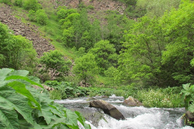 Trip to The Diamond Bridge and Dashbashi Canyon - The planning touch: when guides keep the day smooth