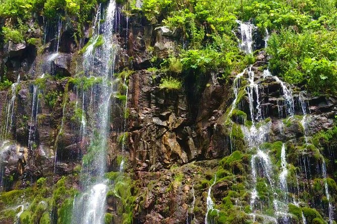Tsalka Canyon Tour from Tbilisi with Poka Nunnery, Gorelovka and Asureti - Paravani Lake at 2,073 meters: high air, calm water, and seasonal ice