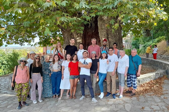Whole day Wine Tour to Kakheti from Tbilisi - Telavi: photos, a legendary plane tree, and the Sehnika wine cellar