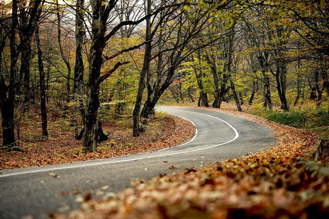 Whole day Wine Tour to Kakheti from Tbilisi - The best-fit traveler (and who should choose a different plan)