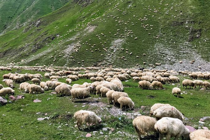 Wild Georgia 4WD PACK Adventure through Kakheti and Kazbegi 2in1 - Ananuri Fortified Castle Ensemble Before Returning to Tbilisi