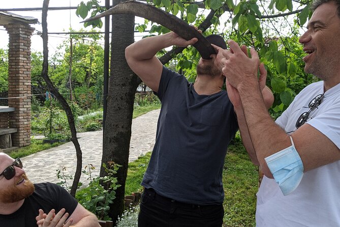 Wine Tasting Tour in Georgia's Cradle of Wine - Kakheti’s Wine Country: Why This Trip Works